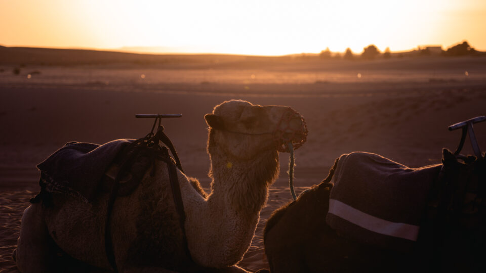 Fotografia del Marocco